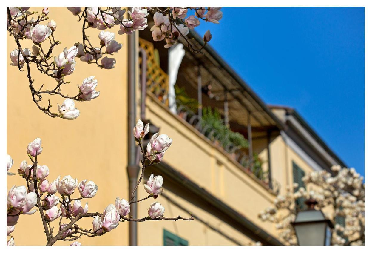 Casa San Girolamo Historic Flat With Cosy Terrace In Lucca's Centre