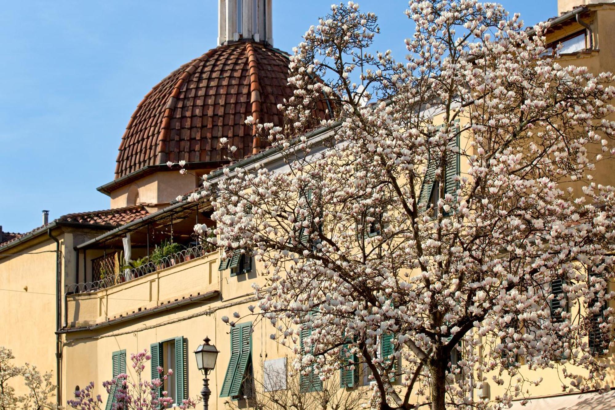 Casa San Girolamo Historic Flat With Cosy Terrace In Lucca's Centre Apartment